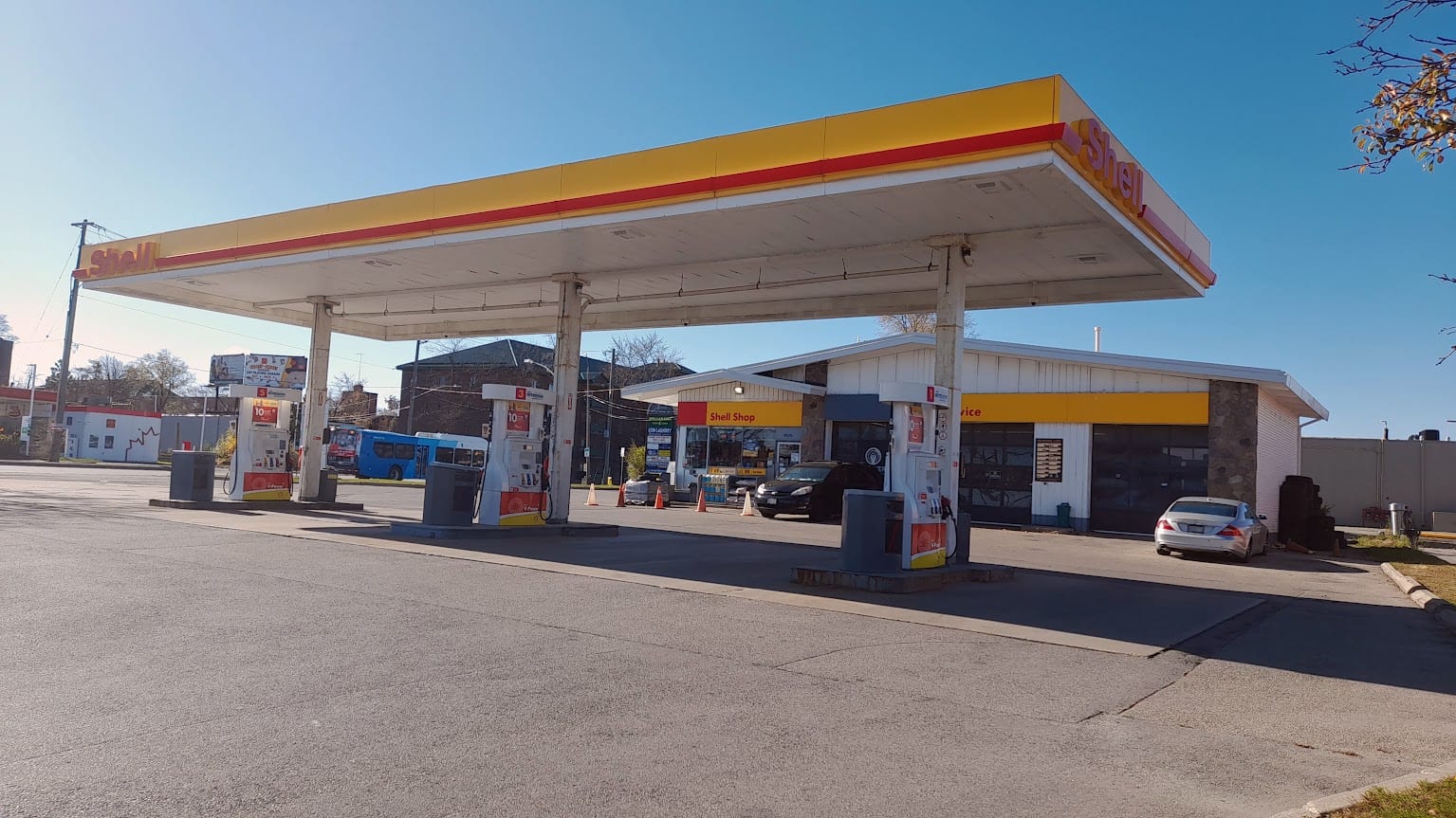 Shell, photo 4