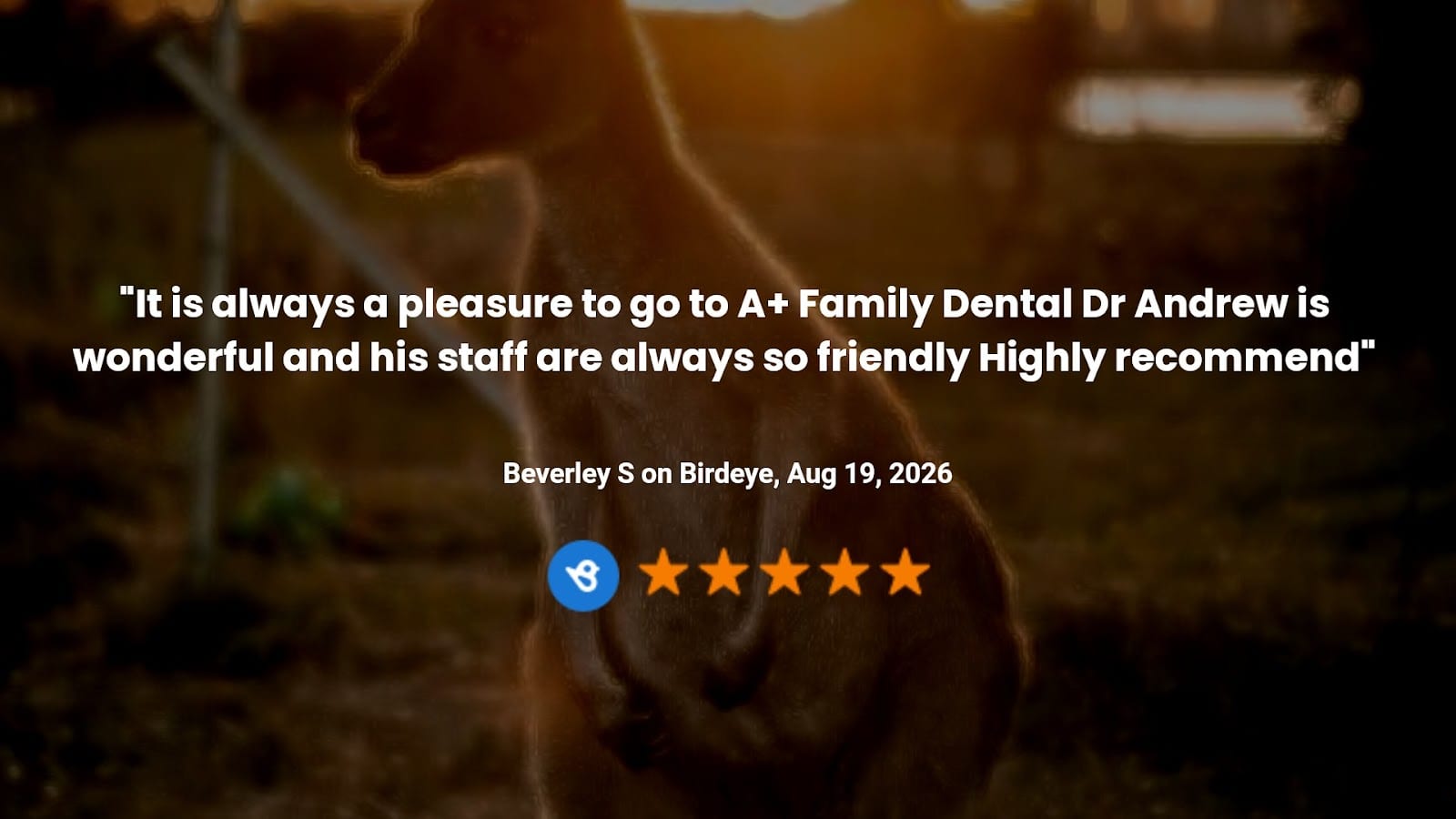 A+ Family Dental, photo 3