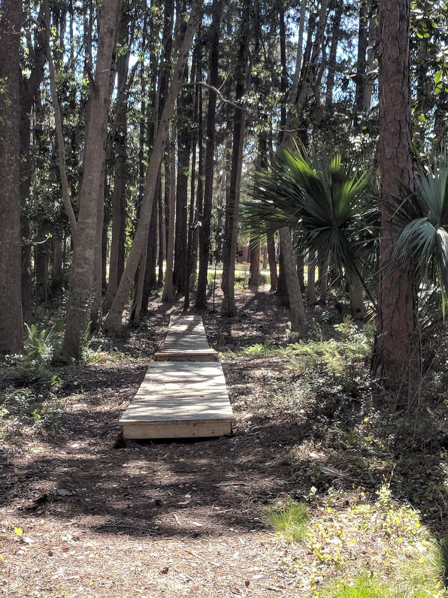 Bay Memorial Park Disc Golf Course