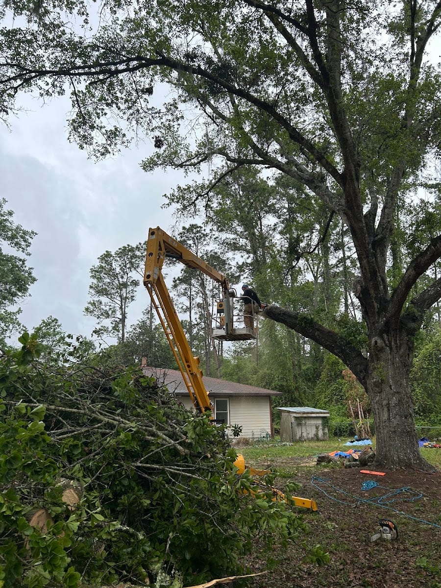 Patriot Trees And More LLC, photo 3