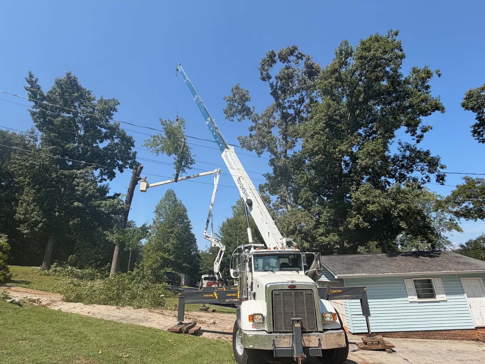 David's Complete Lawn & Tree Services LLC