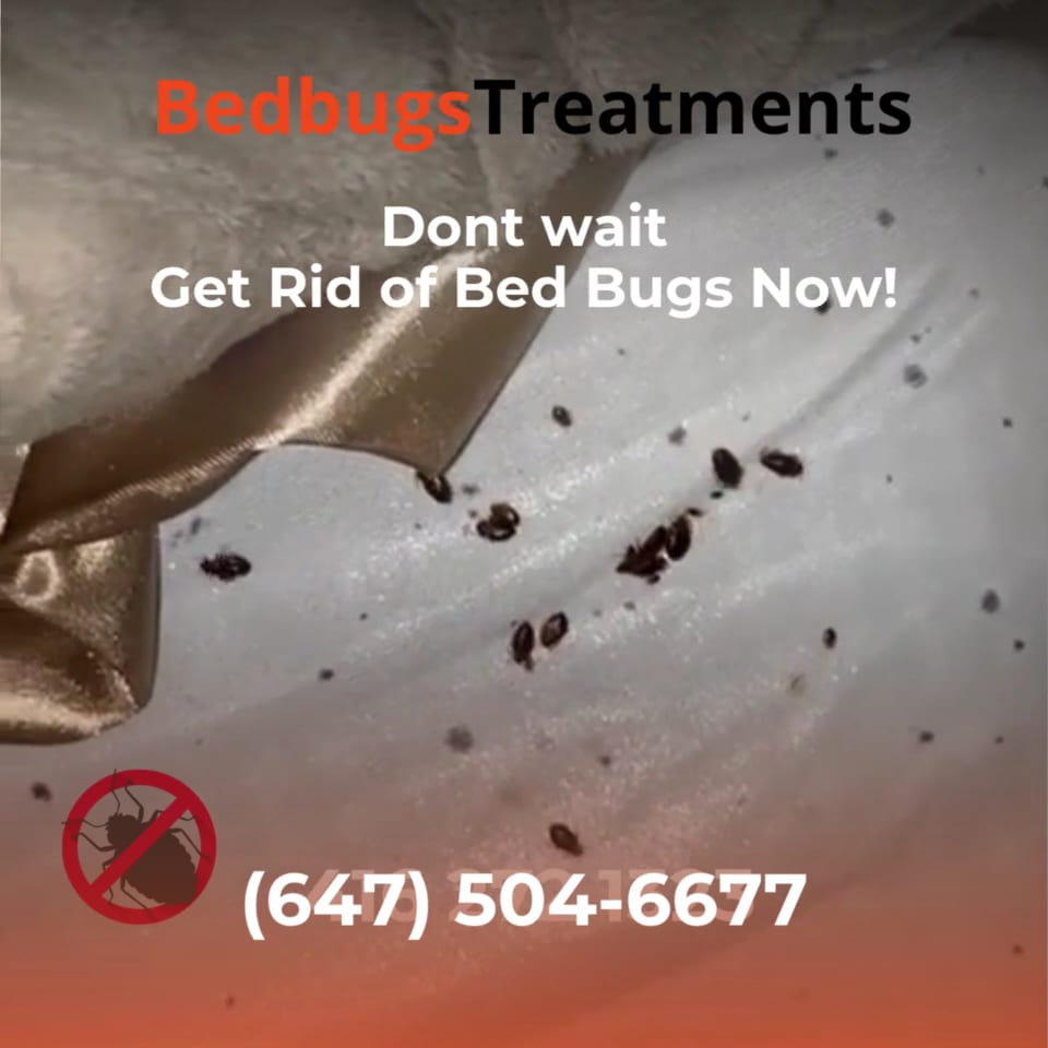 Bed Bugs Treatments - Bed bugs Heat Treatment, photo 2