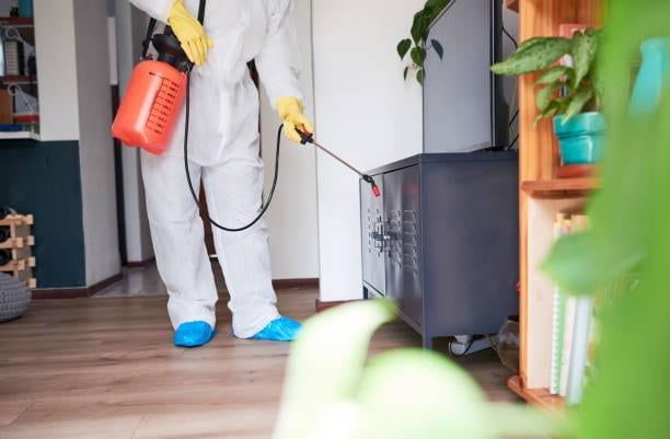 Express Pest Control, photo 3