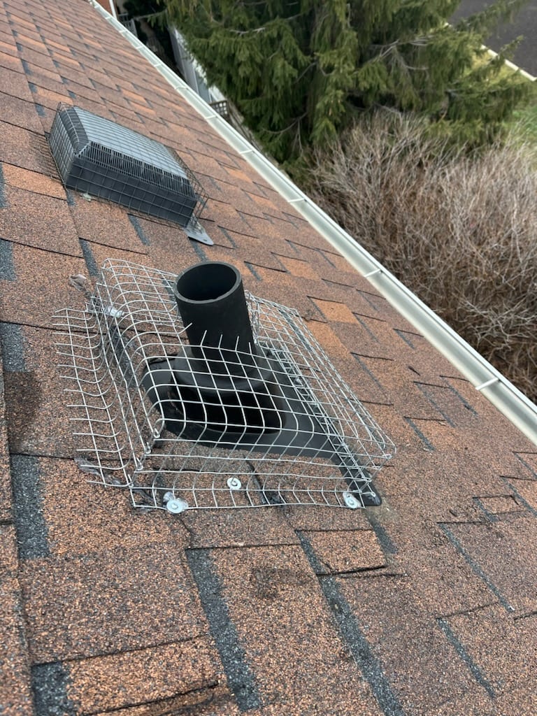 GTA Wildlife Removal & Pest Control Ltd., photo 2