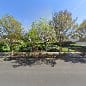 Toyon Terrace Tot Lot