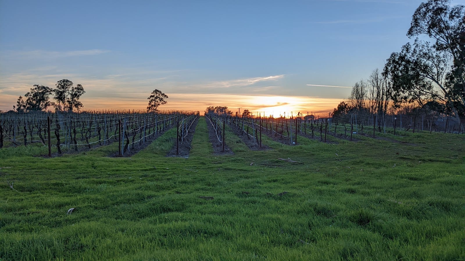 Stanly Ranch Area Public Trails, photo 2