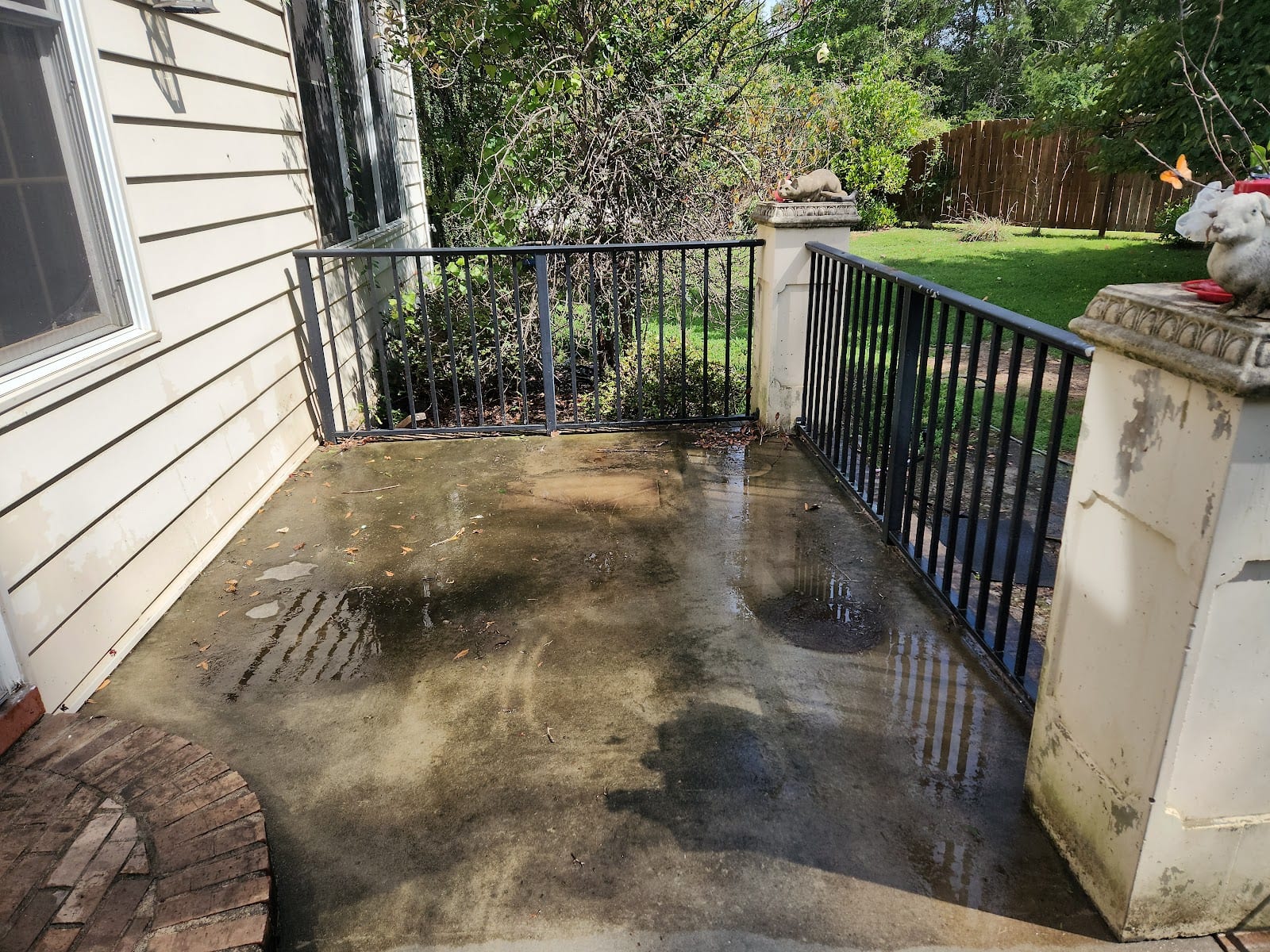 Bee Clean LLC, photo 4
