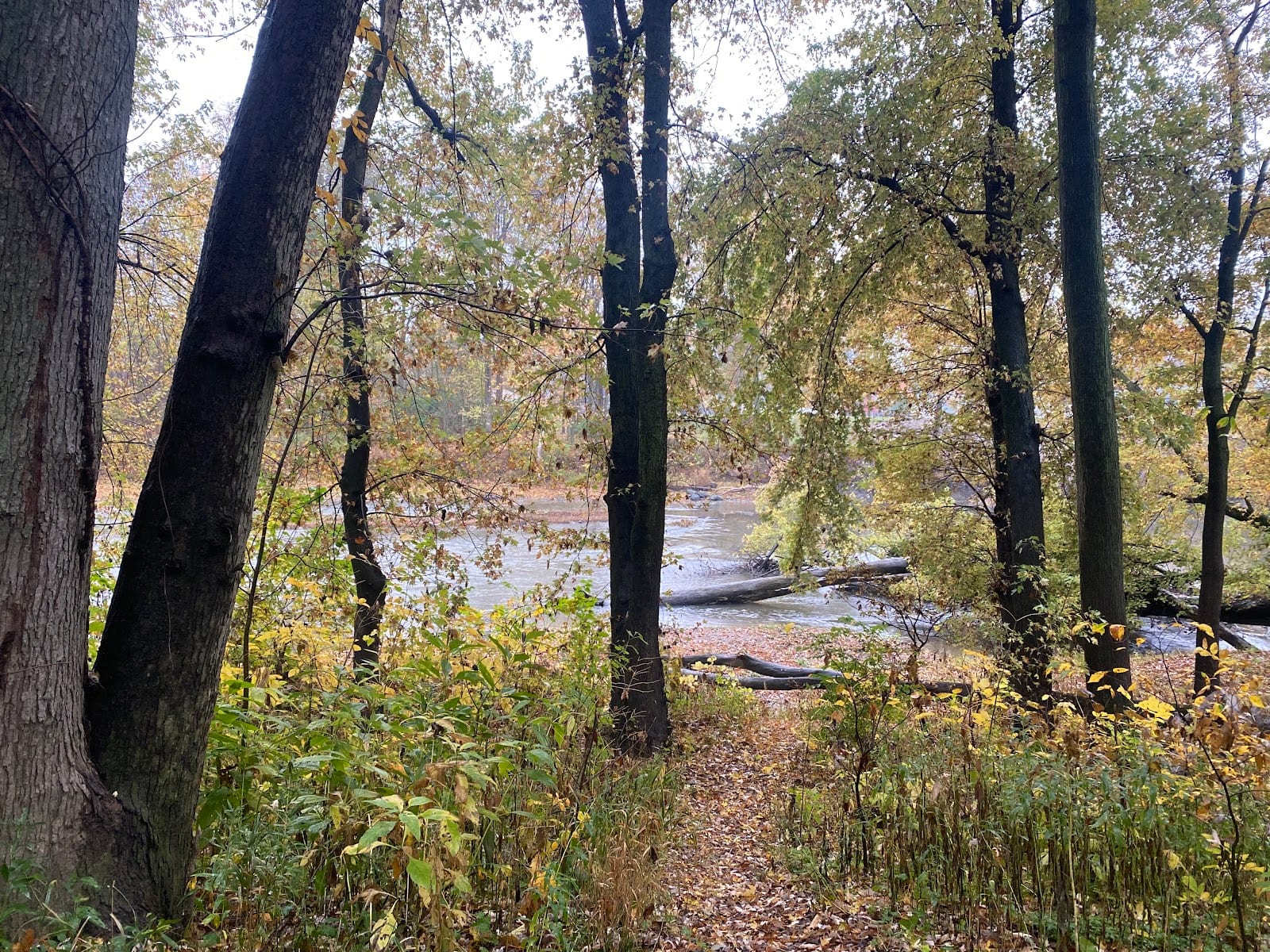Maumee Trailhead, photo 3