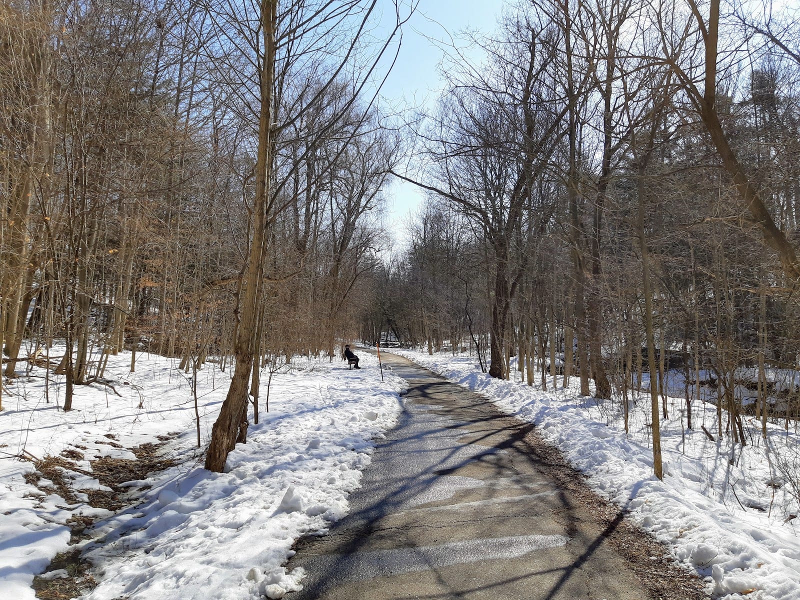 Brookbanks Park