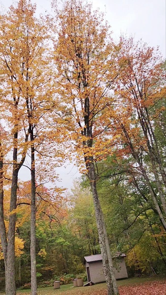 Rockhill Park, photo 3