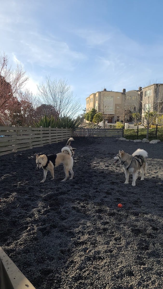 Brotherhood Mini Dog Park, photo 2