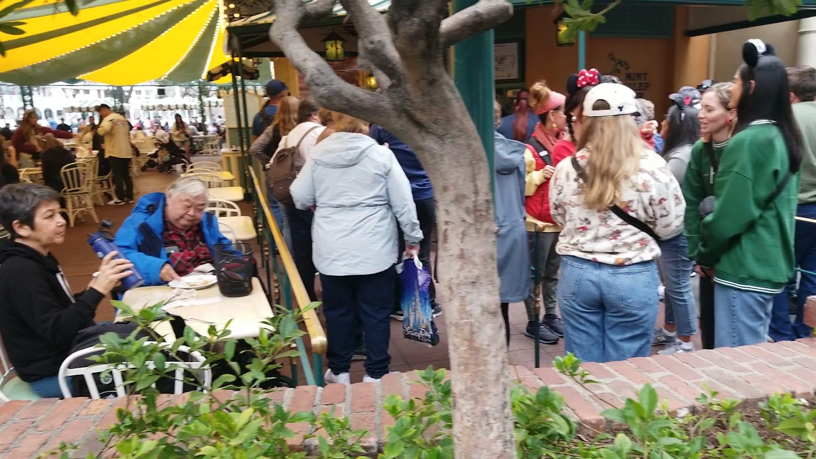Mint Julep Bar, photo 3