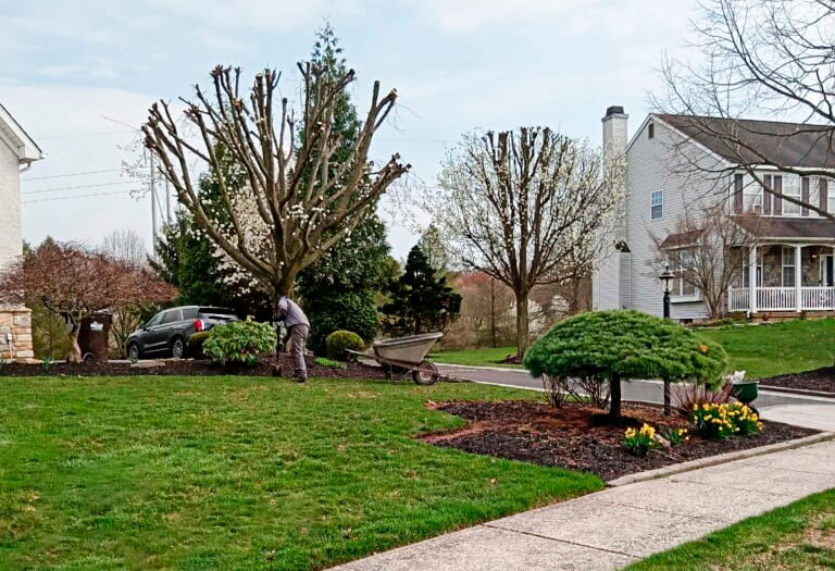 Nestor Landscaping and Tree