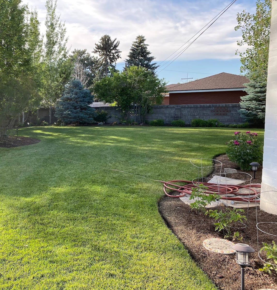 D & T Landscape Inc, photo 4