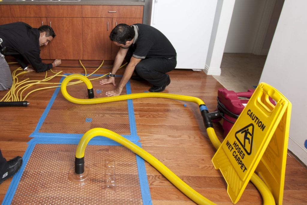 Newport News Water Damage Restoration, photo 2