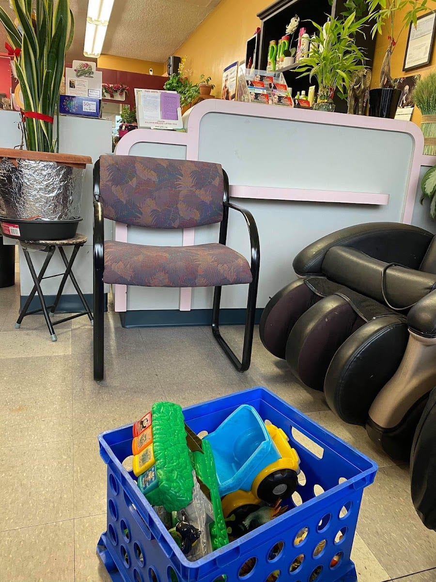 Estela's Beauty Salon, photo 2