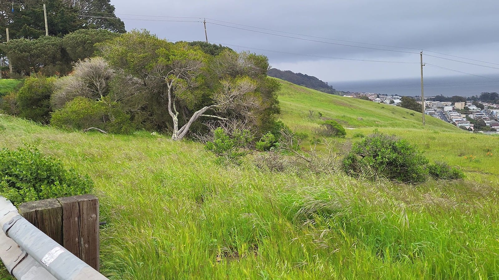 Philosopher's Way Trailhead, photo 2