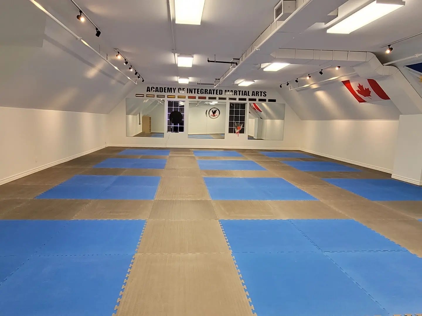 Academy of Integrated Martial Arts, photo 3