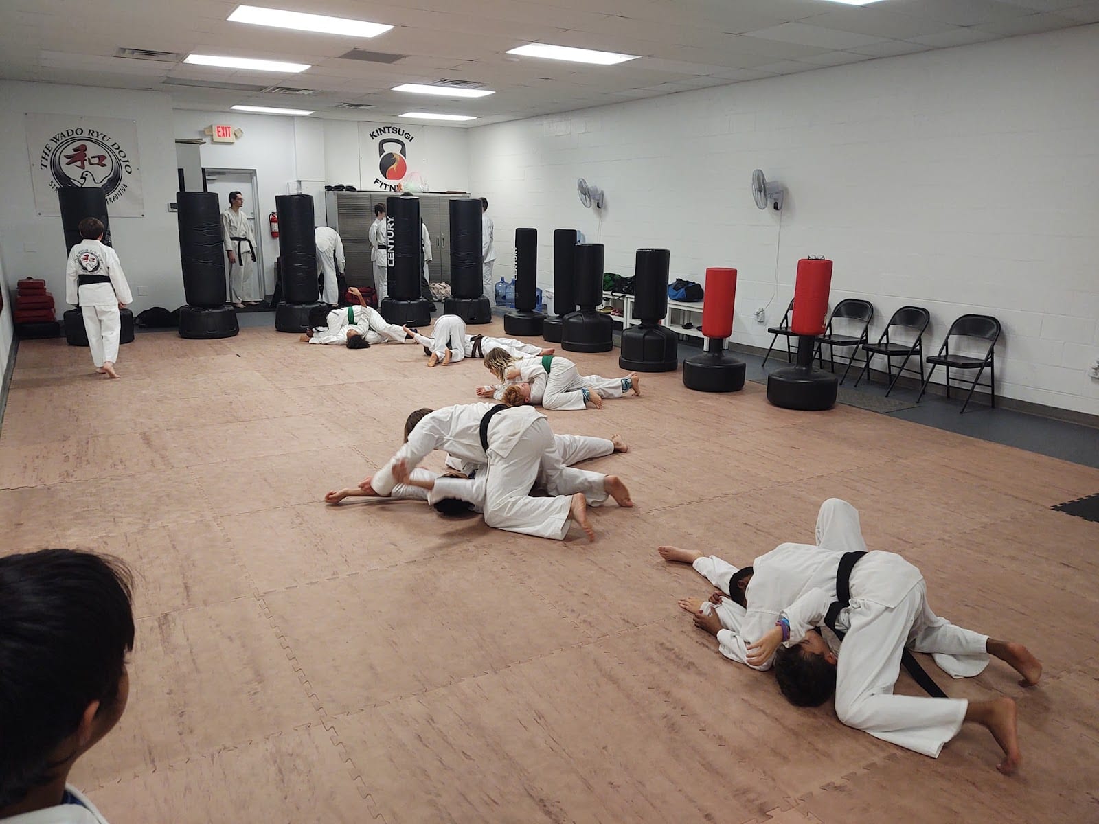 The Wado Ryu Dojo
