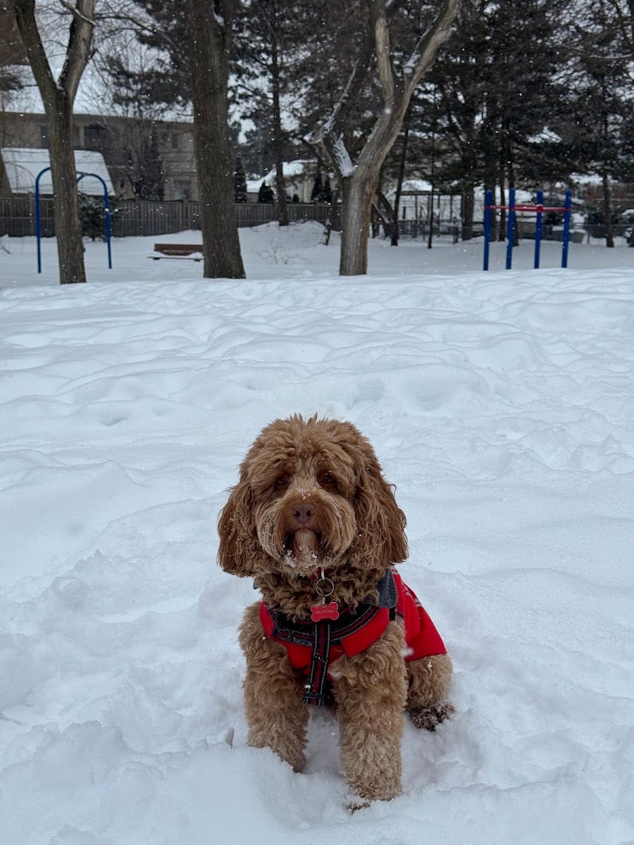 Ancona Park