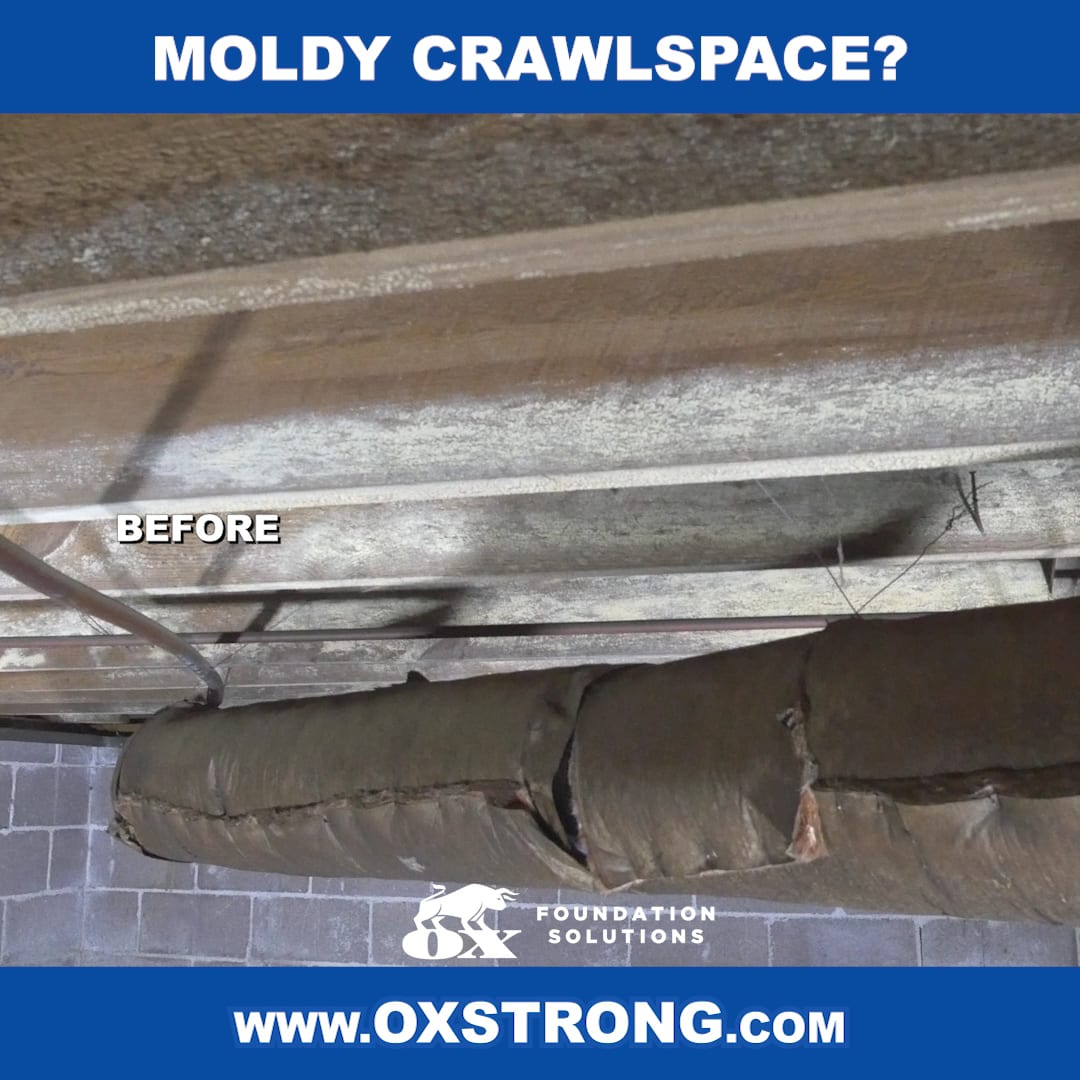 Ox Foundation Solutions, photo 2