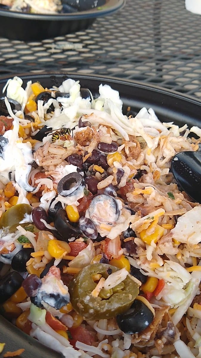 Moe's Southwest Grill, photo 3