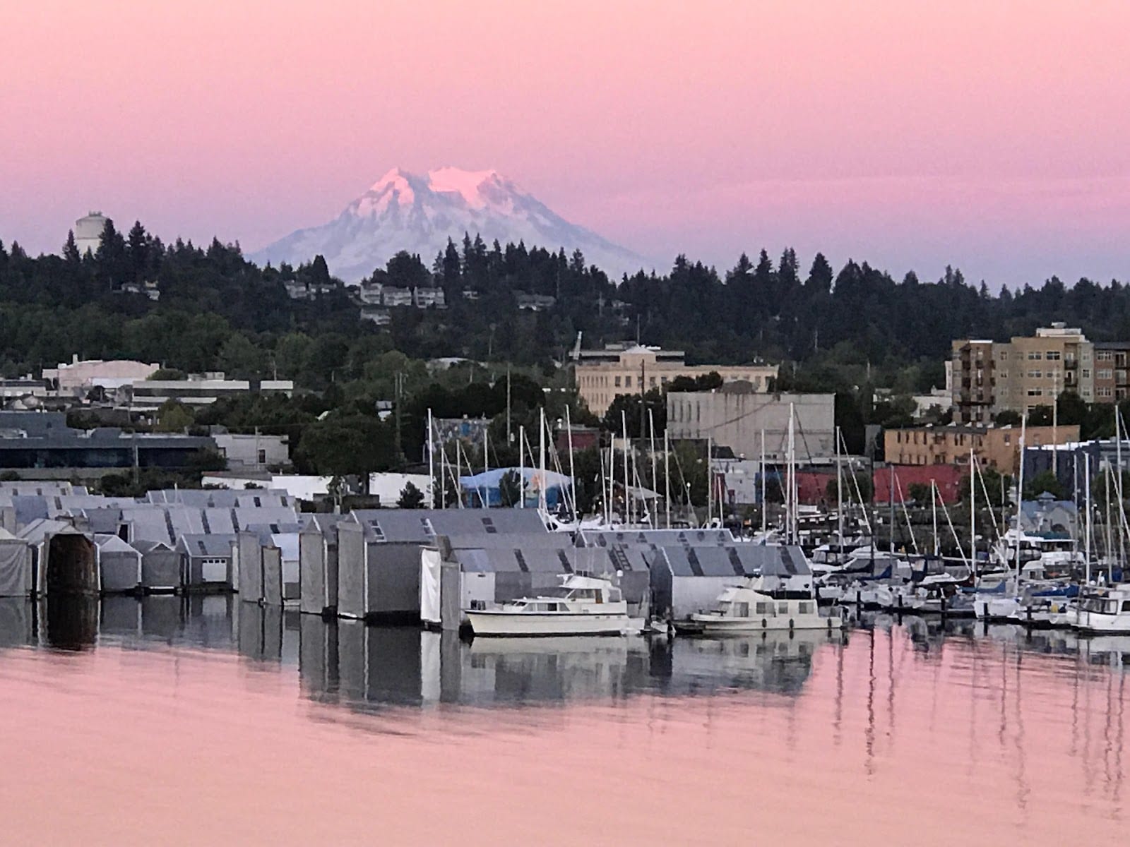 Dermatology & Allergy Specialists of Olympia, photo 2