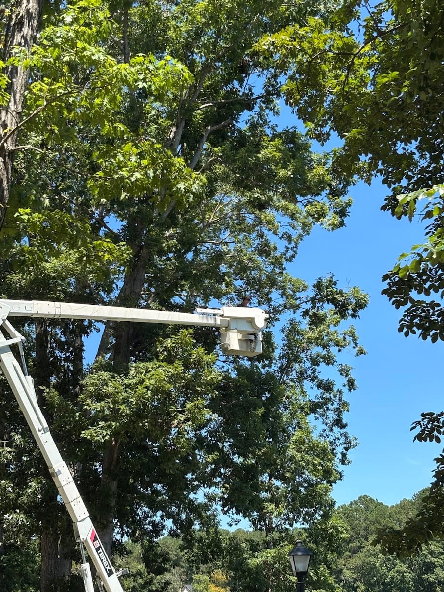 Harris tree service and landscaping llc, photo 2