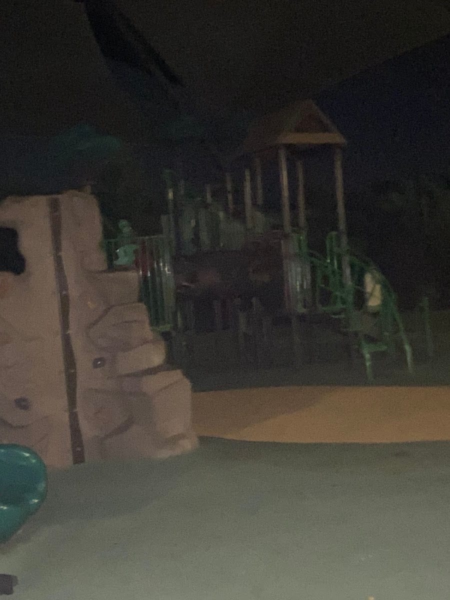 Hattie Mae Flowers Park, photo 4
