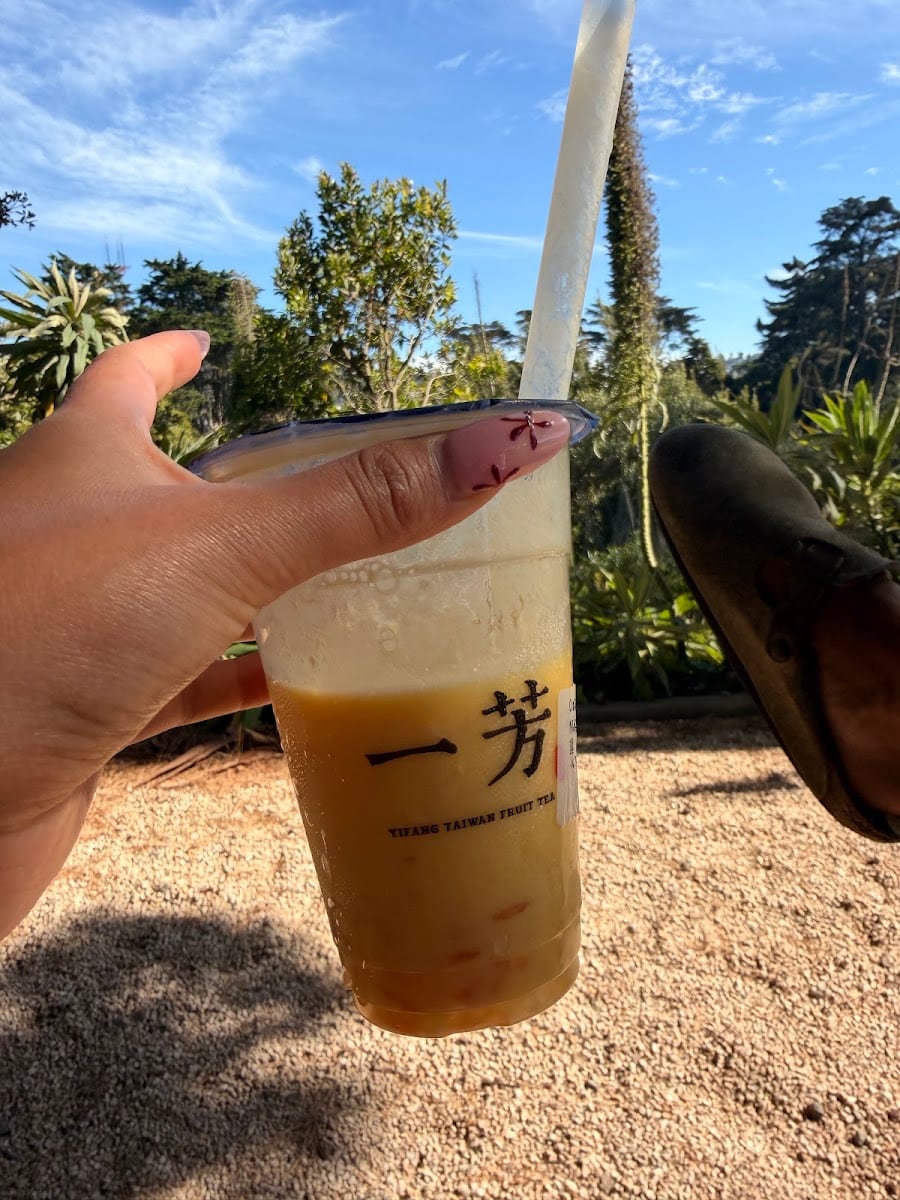 Yifang Taiwan Fruit Tea, photo 3