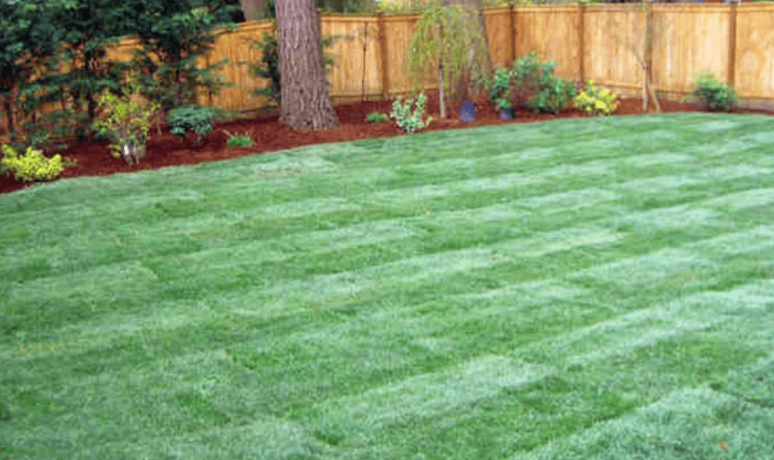 GoGo Grass Landscaping & interlocking
