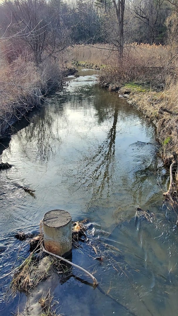 Eureka Board Walk, photo 4