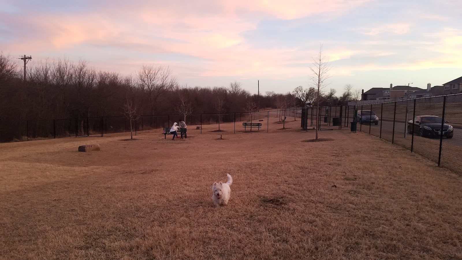 Paloma Creek Dog Park