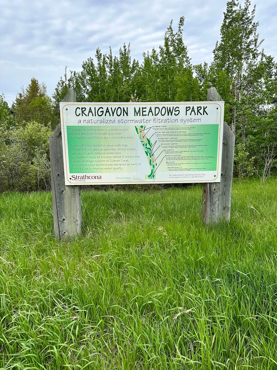 Craigavon Meadows
