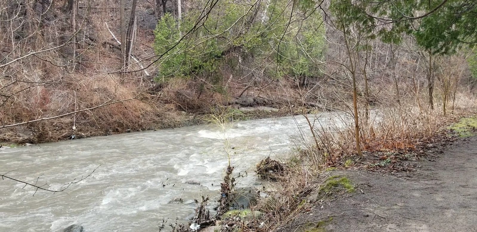 Colonel Danforth Park, photo 2