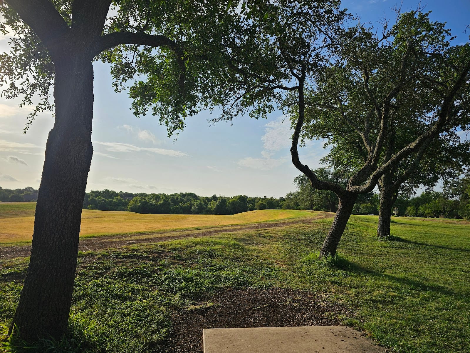 Old Settler's Park Disc Golf Course, photo 3