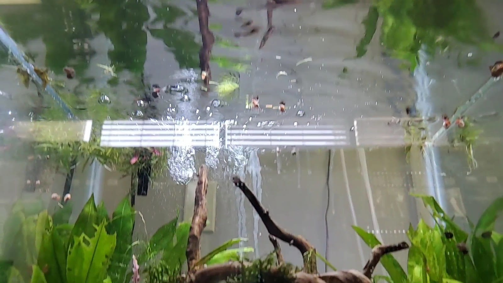 Abstract Aquariums & Cafe, photo 2
