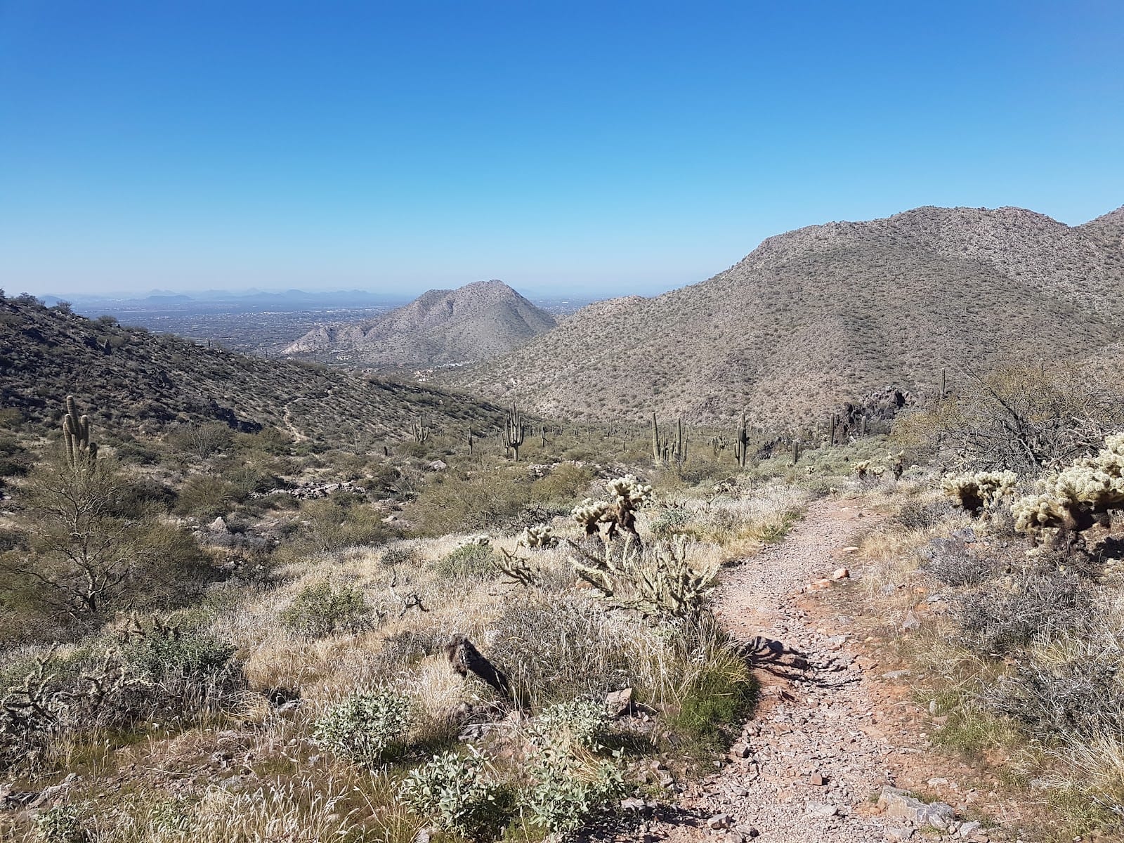 McDowell Sonoran Preserve