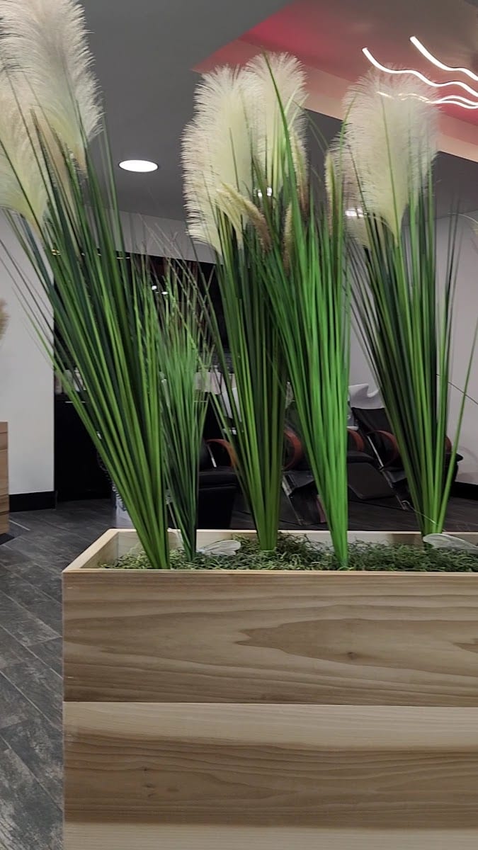 NY Jungle Salon & Spa, photo 4