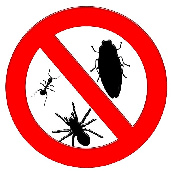 Grangers Exterminators, photo 2