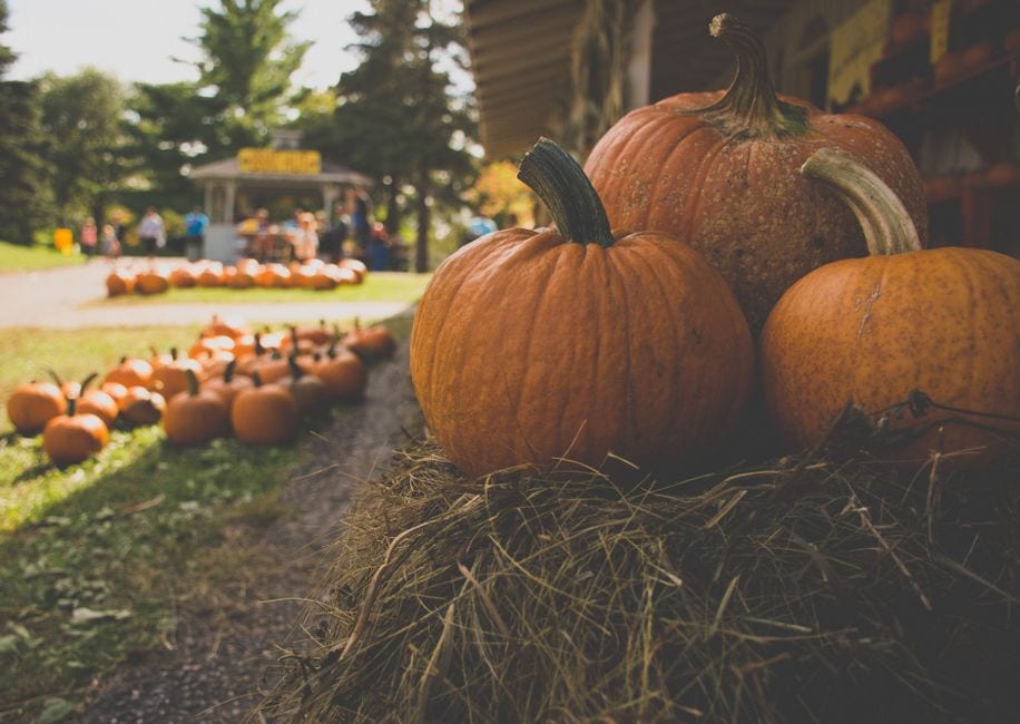 The Las Vegas Farm’s 2026 Harvest Festival Starts Oct. 3