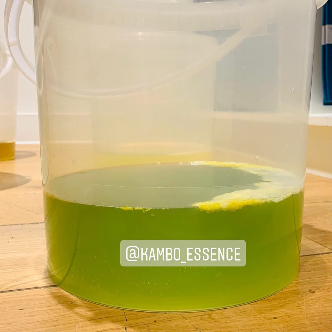 Kambo Essence Global Practitioners (KEGP)