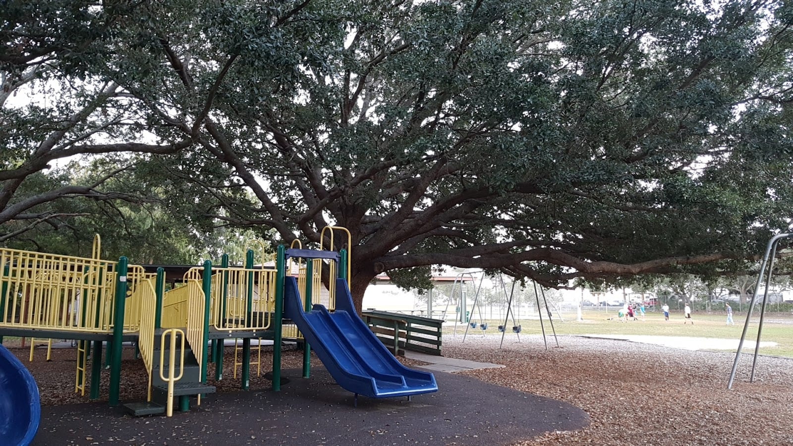 Foster Park