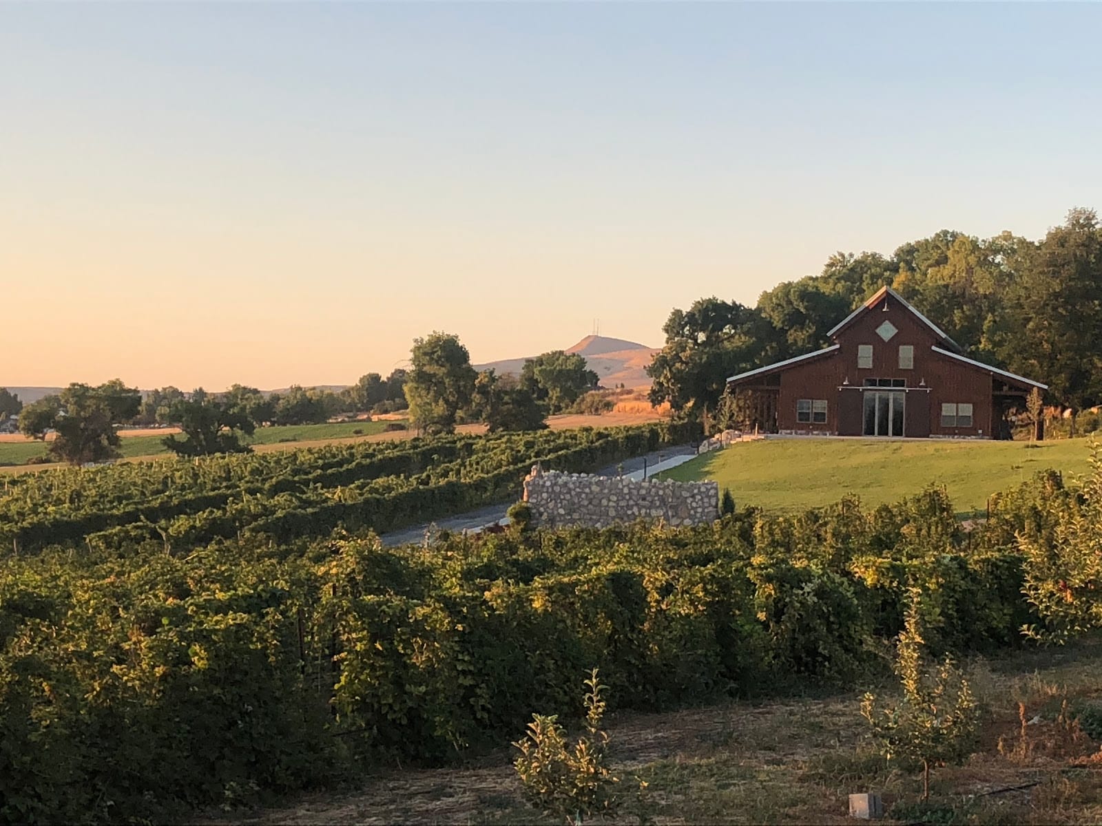 Mt Naomi Farms & Vineyards, photo 2