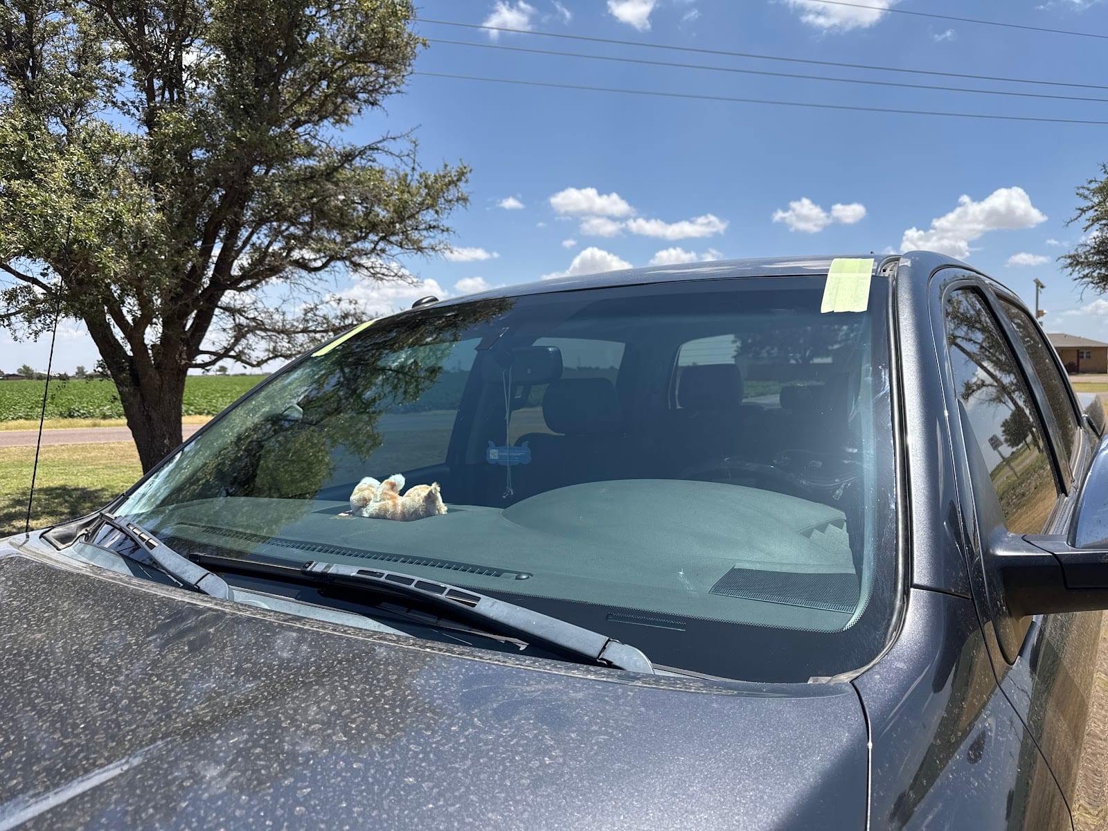 Extreme Auto Glass