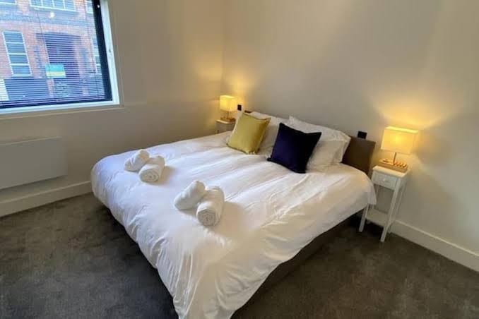 Stylish Apartment Near Norwich Cathedral Castle - Apartment