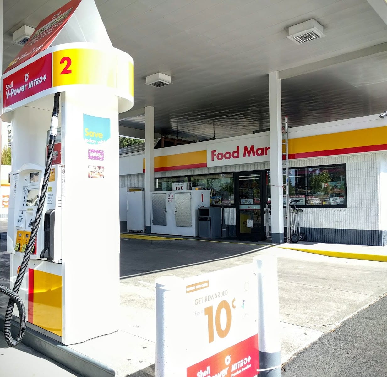 Shell, photo 2
