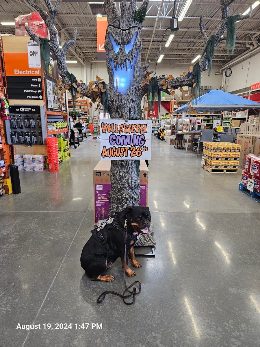 The Home Depot, photo 4