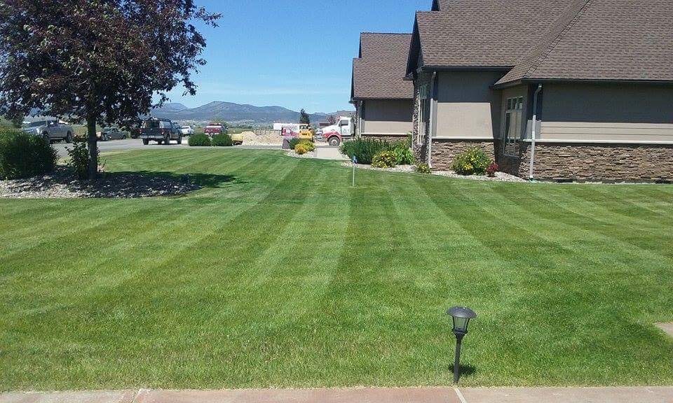 Elkhorn Lawn and Maintenance, photo 2