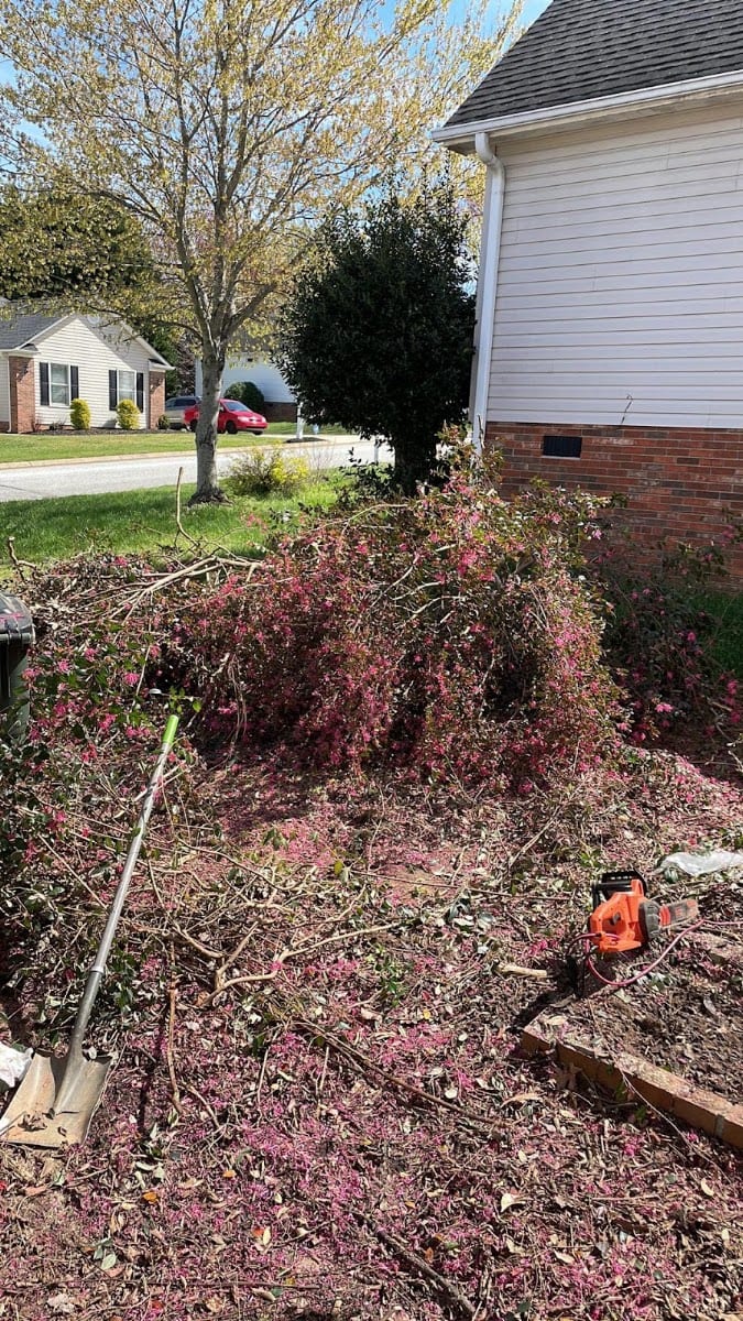 VOTS Junk Removal, photo 3